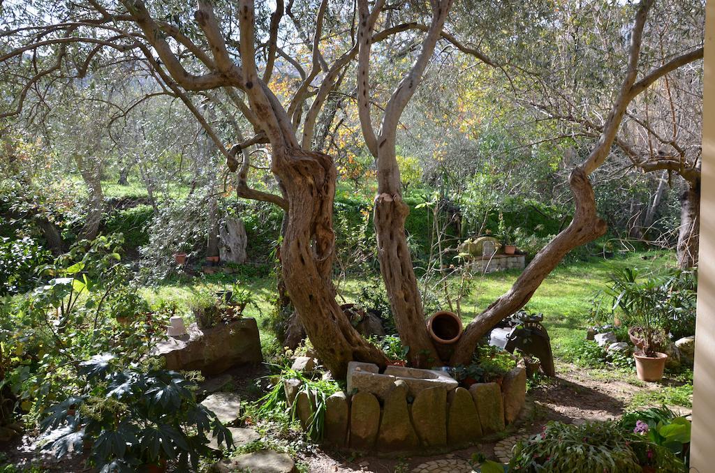 B&B Villa Calagioli Castelbuono  Esterno foto