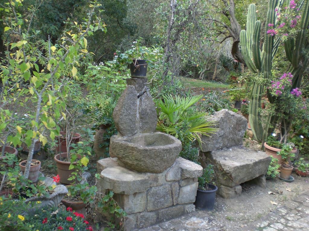 B&B Villa Calagioli Castelbuono  Esterno foto