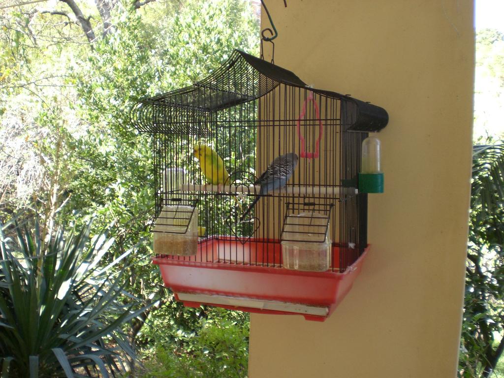 B&B Villa Calagioli Castelbuono  Esterno foto