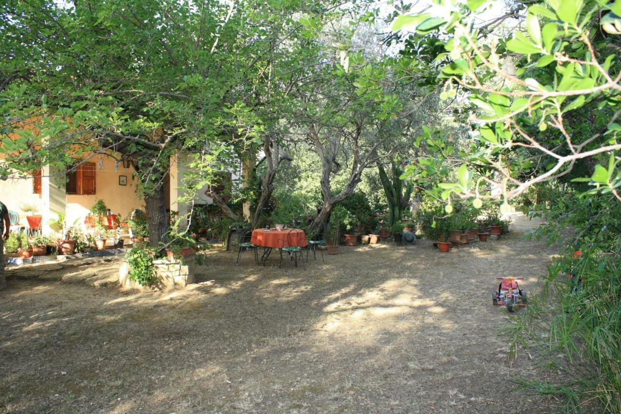 B&B Villa Calagioli Castelbuono  Esterno foto